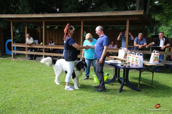 Sommerprüfung 2018